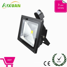 High quality LED induction lamp & LED induction light & LED induction lighting